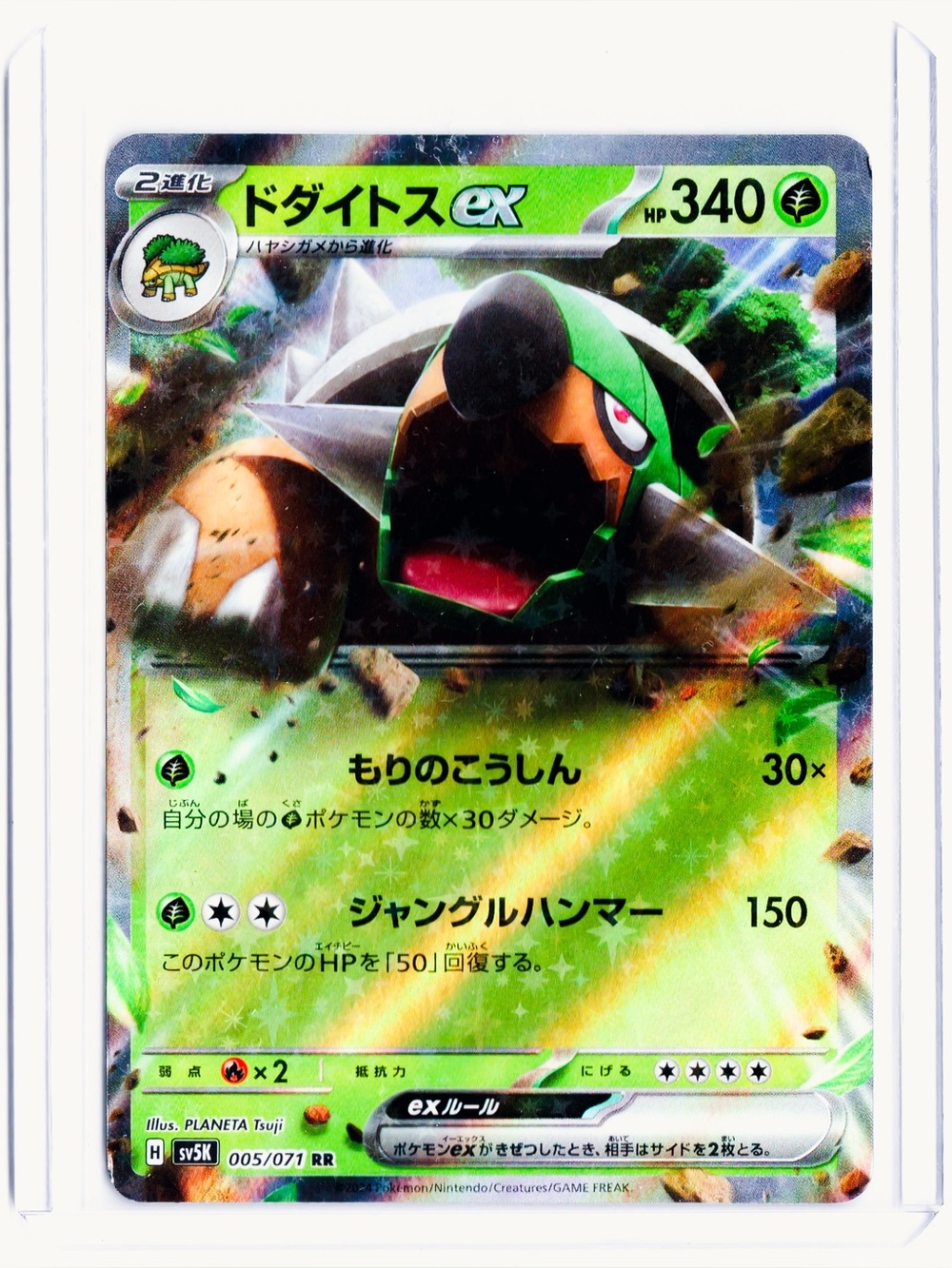 Torterra (JP) 005/071 EX Wild Force NM Pokemon Trading Card